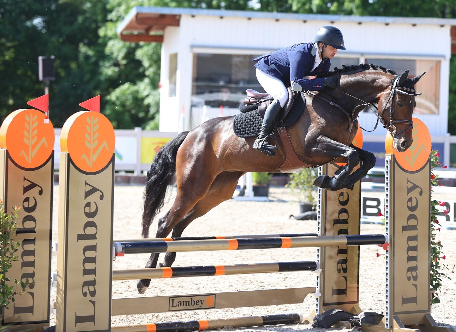 Horse and rider jumping