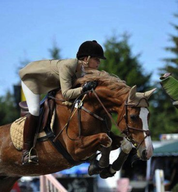 NJL Sporthorses yard