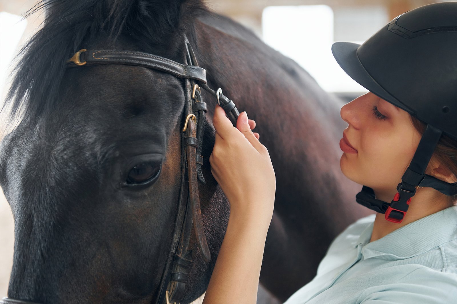 NJL Sporthorses rider preparing