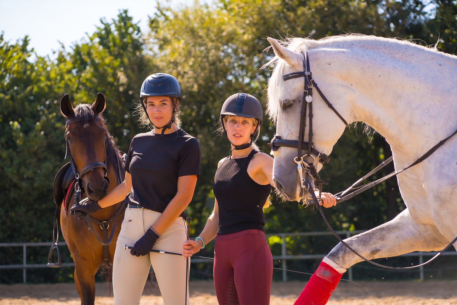 Beginner Guide To A Noble Sport